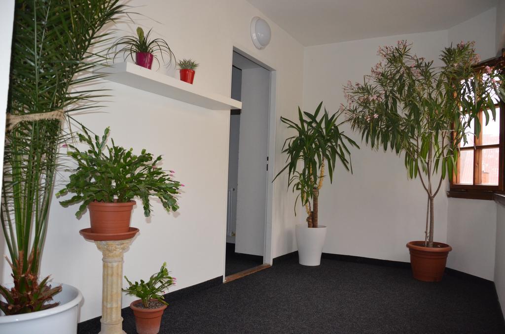 Guesthouse Zlaty Hrozen Česká Lípa Εξωτερικό φωτογραφία
